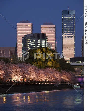大阪天滿橋的夜景和春天的櫻花 大阪天滿橋的夜景和春天的櫻花 89739613