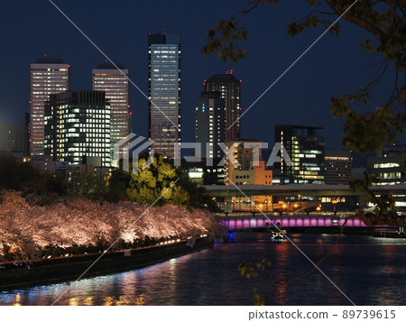 大阪天滿橋的夜景和春天的櫻花 大阪天滿橋的夜景和春天的櫻花 89739615