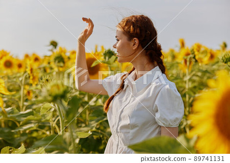 woman with pigtails looking in the sunflower field landscape 89741131