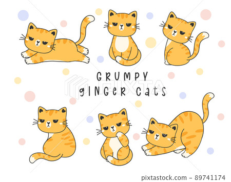 Angry furry cartoon cat. Cute grumpy cat for prints, design, cards