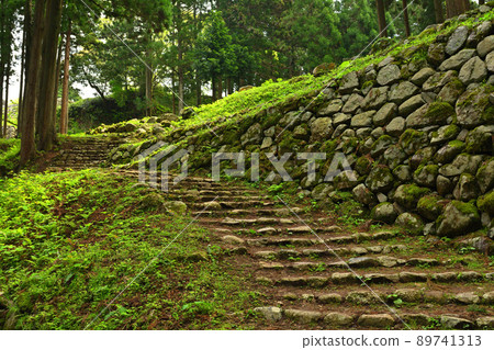 100 Fine Castles of Japan, Nanao Castle 89741313