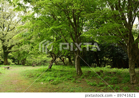 100 Fine Castles of Japan, Nanao Castle 100 Fine Castles of Japan, Nanao Castle 89741621