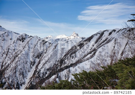 Scenery from Mt. Tsubakuro in spring 89742185