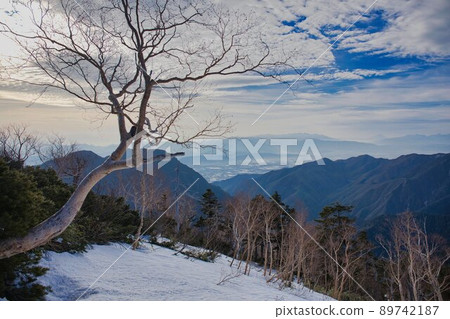 Scenery from Mt. Tsubakuro in spring 89742187