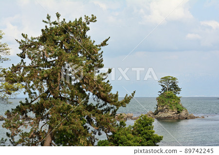 Toyama / Amaharashi Coast 89742245