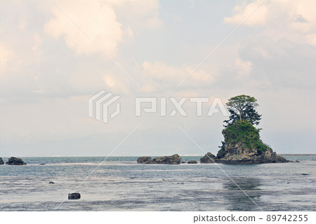 Toyama / Amaharashi Coast 89742255