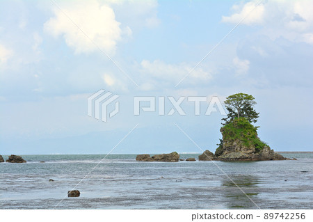 Toyama / Amaharashi Coast Toyama / Amaharashi Coast 89742256