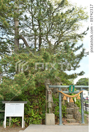 Toyama / Amaharashi Coast 89742317
