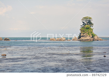 Toyama / Amaharashi Coast 89742329