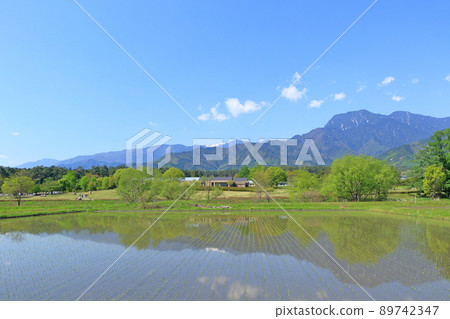 Azumino May Countryside and Northern Alps 89742347