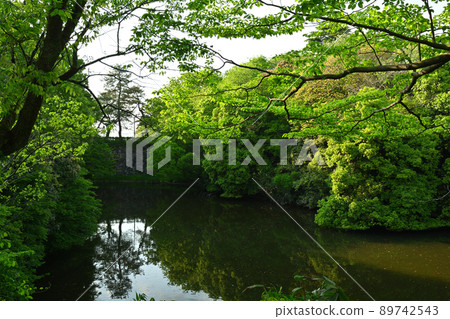 100 Fine Castles of Japan, Takaoka Castle 89742543
