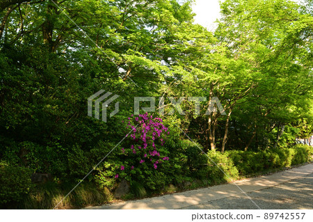 日本百城名城高岡城 89742557