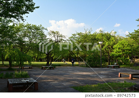 100 Fine Castles of Japan, Takaoka Castle 100 Fine Castles of Japan, Takaoka Castle 89742573