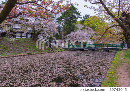 Hirosaki Castle, Aomori Prefecture, cherry blossom petals and flower rafts that decorate the moat Hirosaki Castle, Aomori Prefecture, cherry blossom petals and flower rafts that decorate the moat 89743045