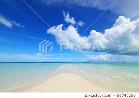Sandbar Palau 89743286