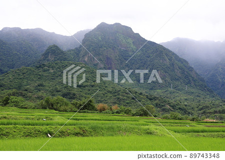 Mount Kumgang Kumgang Avenue Changbin Taitung Taiwan Taitung 89743348