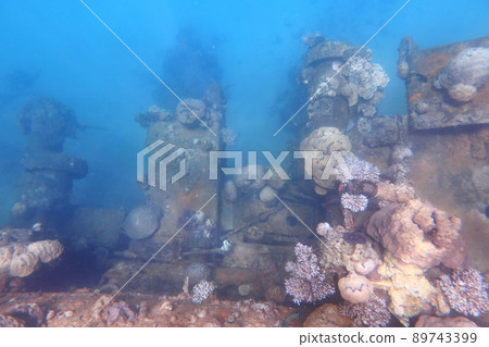 Yamanakako Shipwreck Palau 89743399
