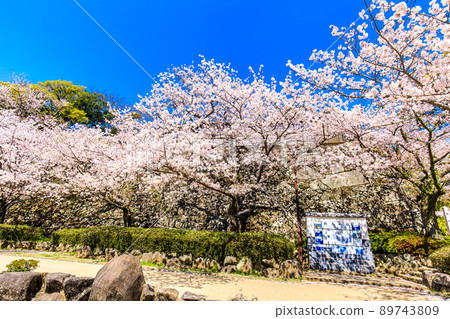 大村公園的櫻花[長崎縣大村市] 89743809