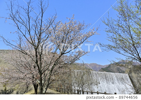 足尾銅礦山遺址:赤金水上公園山櫻花上的足尾松木川渡瀨源頭沙房水壩 足尾銅礦山遺址:赤金水上公園山櫻花上的足尾松木川渡瀨源頭沙房水壩 89744656