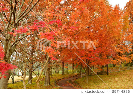 Historic Site Enichiji Japanese Garden (Fukushima Prefecture) Historic Site Enichiji Japanese Garden (Fukushima Prefecture) 89744856