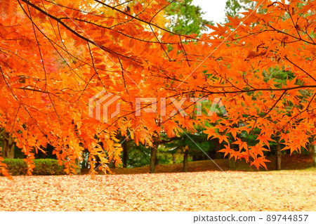 Historic Site Enichiji Japanese Garden (Fukushima Prefecture) Historic Site Enichiji Japanese Garden (Fukushima Prefecture) 89744857