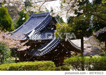 Kannoji Niomon和Sakura Fubuki(兵庫縣西宮市) Kannoji Niomon和Sakura Fubuki(兵庫縣西宮市) 89745013
