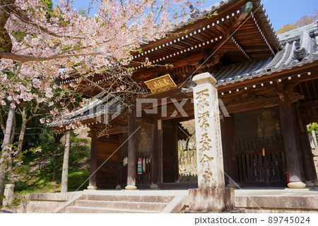 Kannoji Niomon and Sakura（兵庫縣西宮市） 89745024