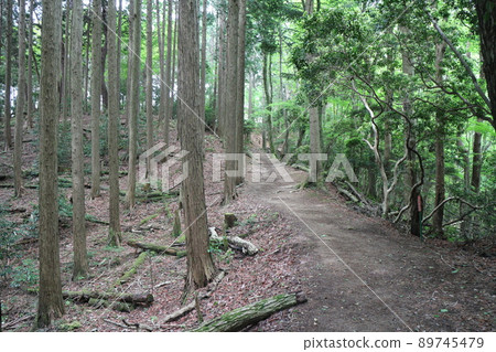 東海自然步道的山地路線 89745479