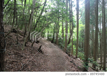 東海自然步道的山地路線 89745480