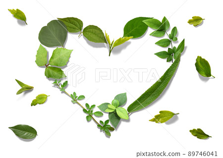 Heart drawn with fresh leaves, fashionable wreath Heart drawn with fresh leaves, fashionable wreath 89746041