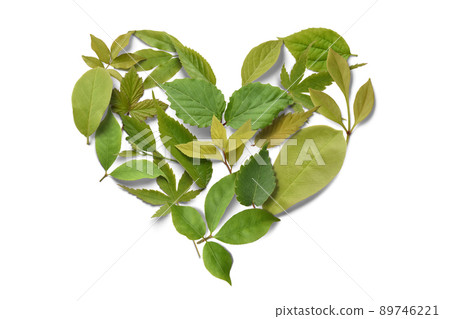 A heart of colorful leaves drawn with freshly picked sprouts A heart of colorful leaves drawn with freshly picked sprouts 89746221