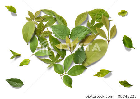 A heart of colorful leaves drawn with freshly picked sprouts A heart of colorful leaves drawn with freshly picked sprouts 89746223