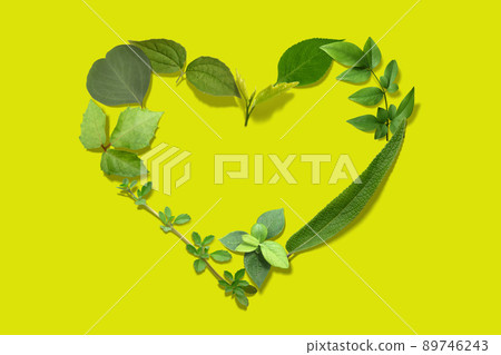用鮮葉繪製的時尚心形花環 用鮮葉繪製的時尚心形花環 89746243