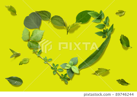 A fashionable heart wreath drawn with fresh leaves A fashionable heart wreath drawn with fresh leaves 89746244