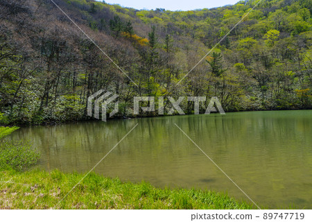 Scenery from Mt. Sanbe's Uchiike to Kosanbe: Clockwise (May 2022) 89747719