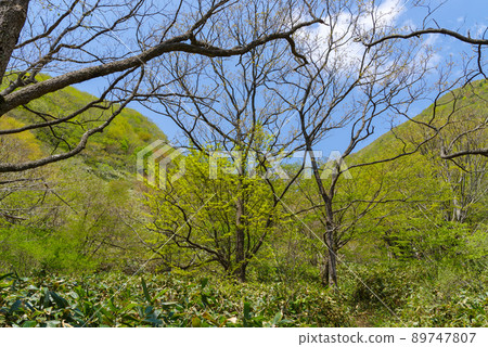 從三部山的內池到小三部的風景:順時針(2022年5月) 從三部山的內池到小三部的風景:順時針(2022年5月) 89747807