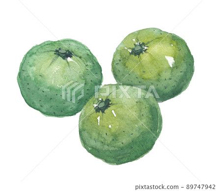 波紋管綠色 波紋管綠色 89747942