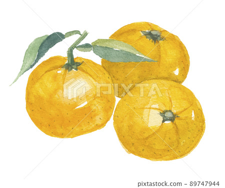 波紋管黃色 89747944