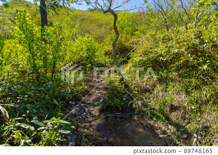 三部山三部山-風越山-通地獄-從房間到展望台的景色（2022年5月） 89748165
