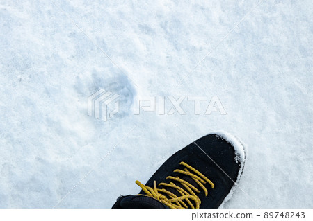 Comparison of animal footprints and human footprints left in the snow Comparison of animal footprints and human footprints left in the snow 89748243