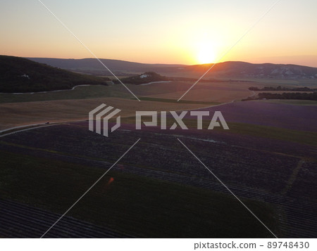 Lavender scented fields in endless rows with blooming flowers aerial view drone purple field against blue sky summer sun sunset. Lavender Oil Production. Field with lavender rows. Aromatherapy. Relax. 89748430