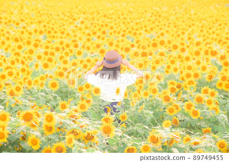 向日葵田 89749455