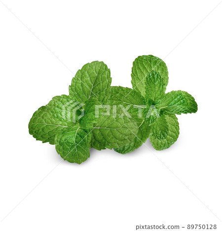 Fresh mint leaves isolated on white background Fresh mint leaves isolated on white background 89750128