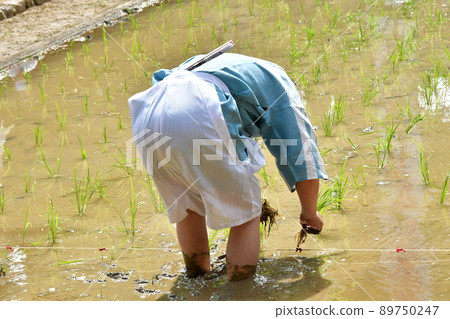 Ise Sarutahiko Shrine Mita Festival 89750247