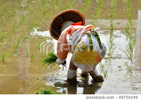 Ise Sarutahiko Shrine Mita Festival 89750249