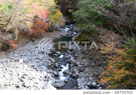 Kochi Befu Valley 89750703