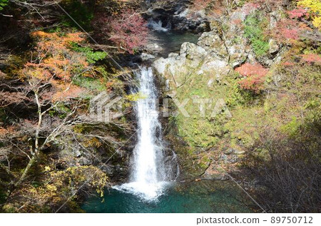 Kochi Befu Valley 89750712