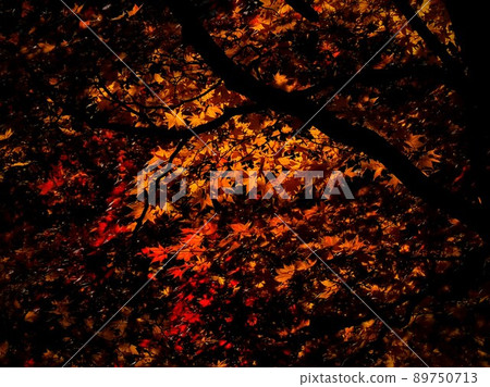 Komoro Castle Ruins, a nostalgic garden of autumn leaves 89750713