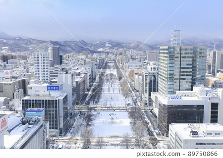 Hokkaido · Sapporo Odori Park and the streets of Sapporo (view from the TV tower) Hokkaido · Sapporo Odori Park and the streets of Sapporo (view from the TV tower) 89750866