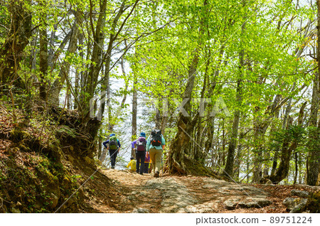 沿著夏山山路行走的登山者 89751224